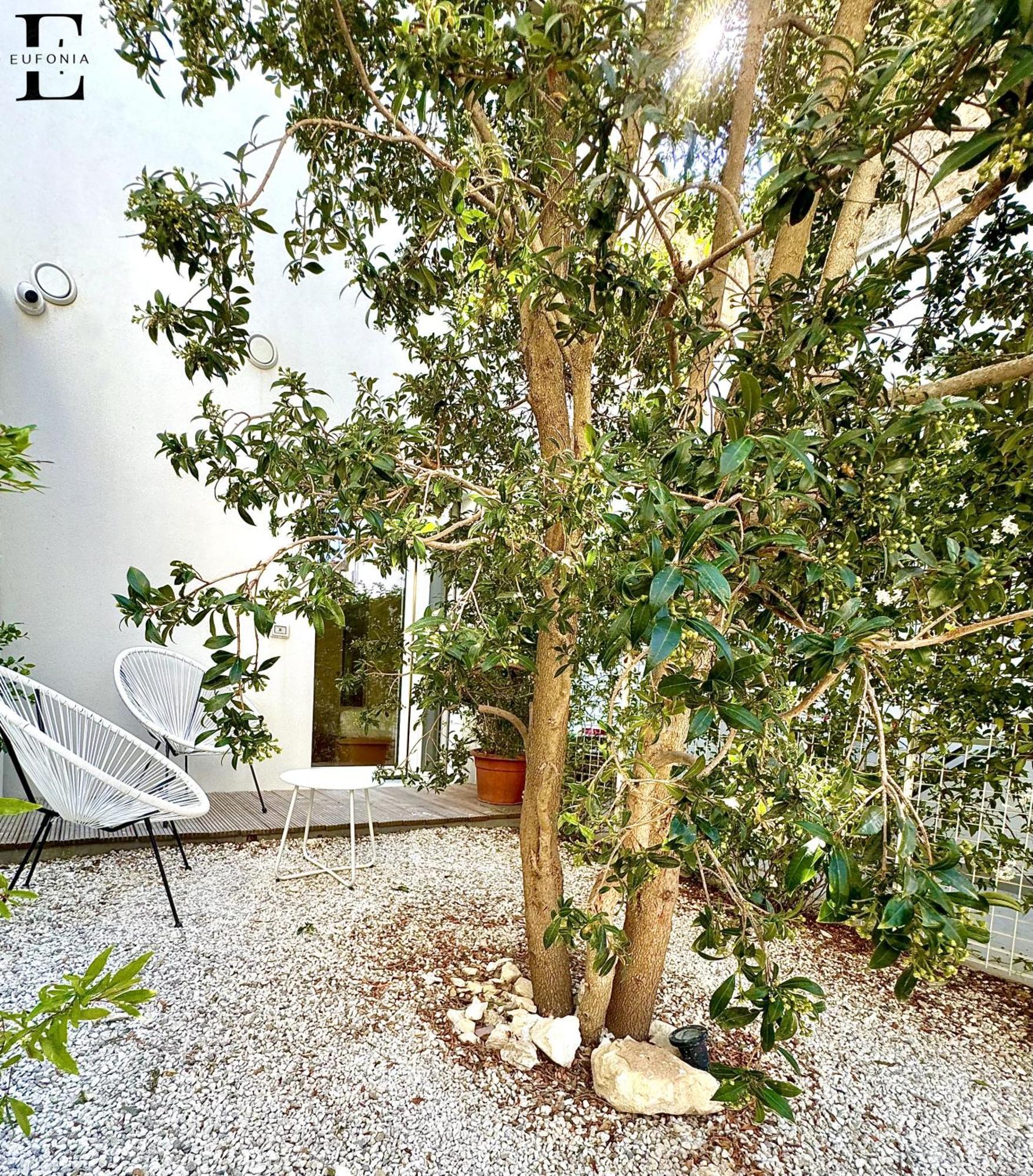 Bed & Breakfast Eufonia *